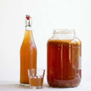FERMENTE İÇECEKLER ATÖLYESİ : Shrub, Kombucha & Su Kefiri